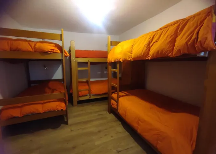 Flying Dog Hostel Cusco